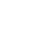 PrayTheVote2024.org Logo